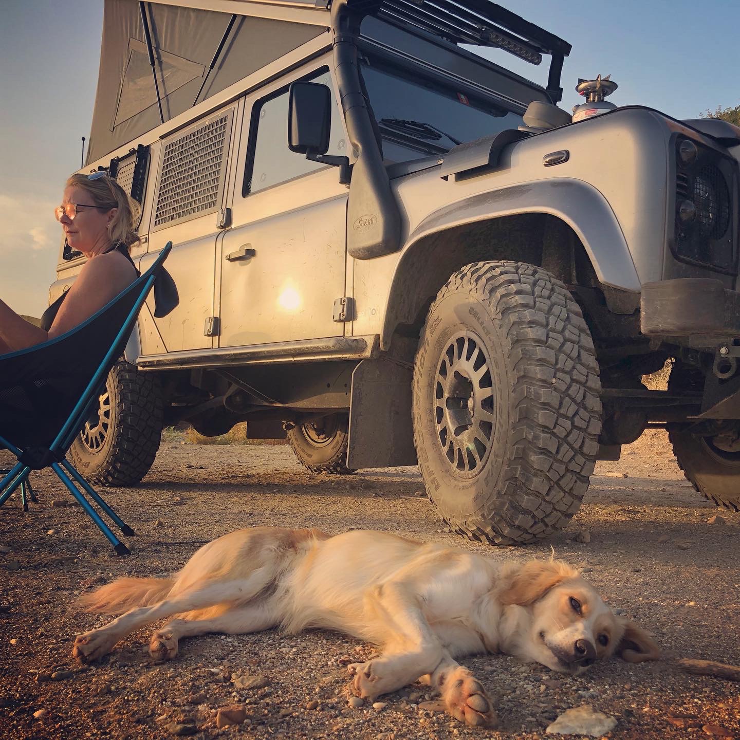 Naala — Weltreise-Hündin